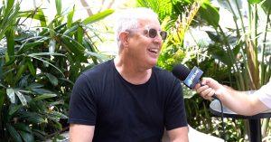 אחרי 55 שנים: טדי הפקות נמכרה לשליטה חדשה, כך היא עשויה להשפיע על האירוויזיון